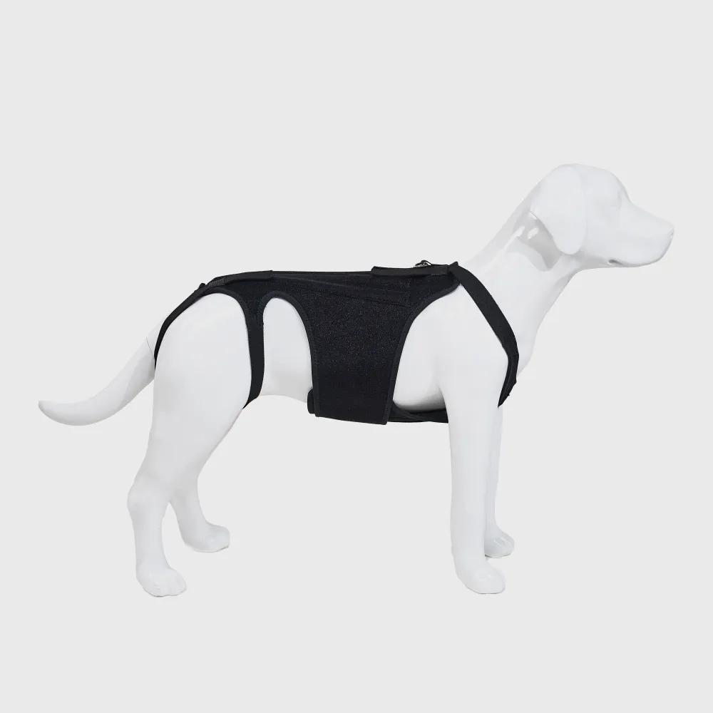 Dog Support Vest