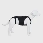 Dog Support Vest