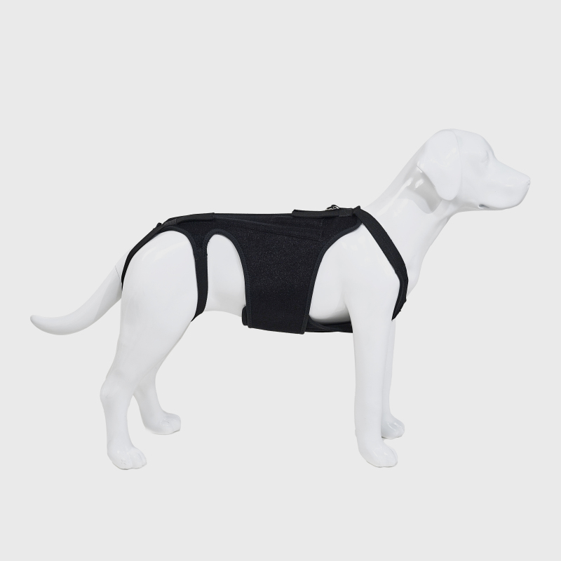 Dog Support Vest