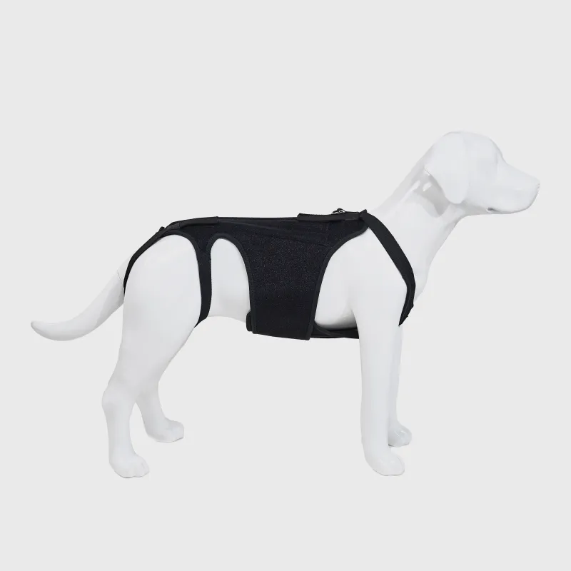 Dog Support Vest
