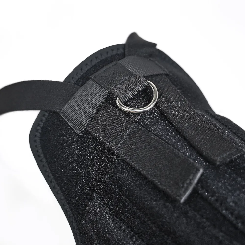 Dog Support Vest