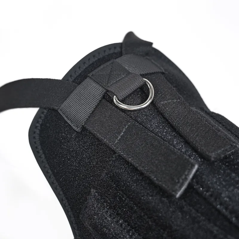 Dog Support Vest