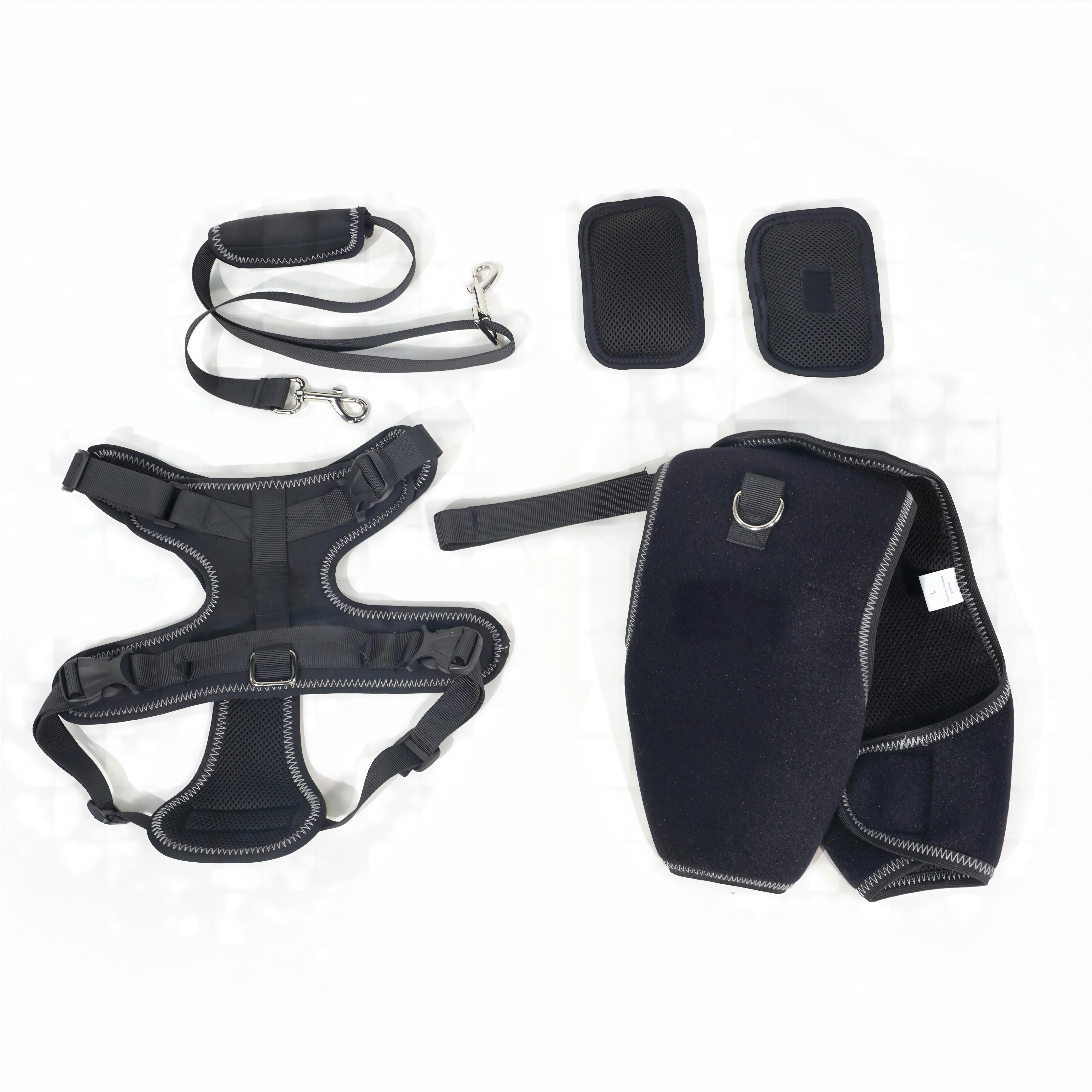 Dog Hip dysplasia Brace