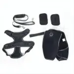 Dog Hip dysplasia Brace