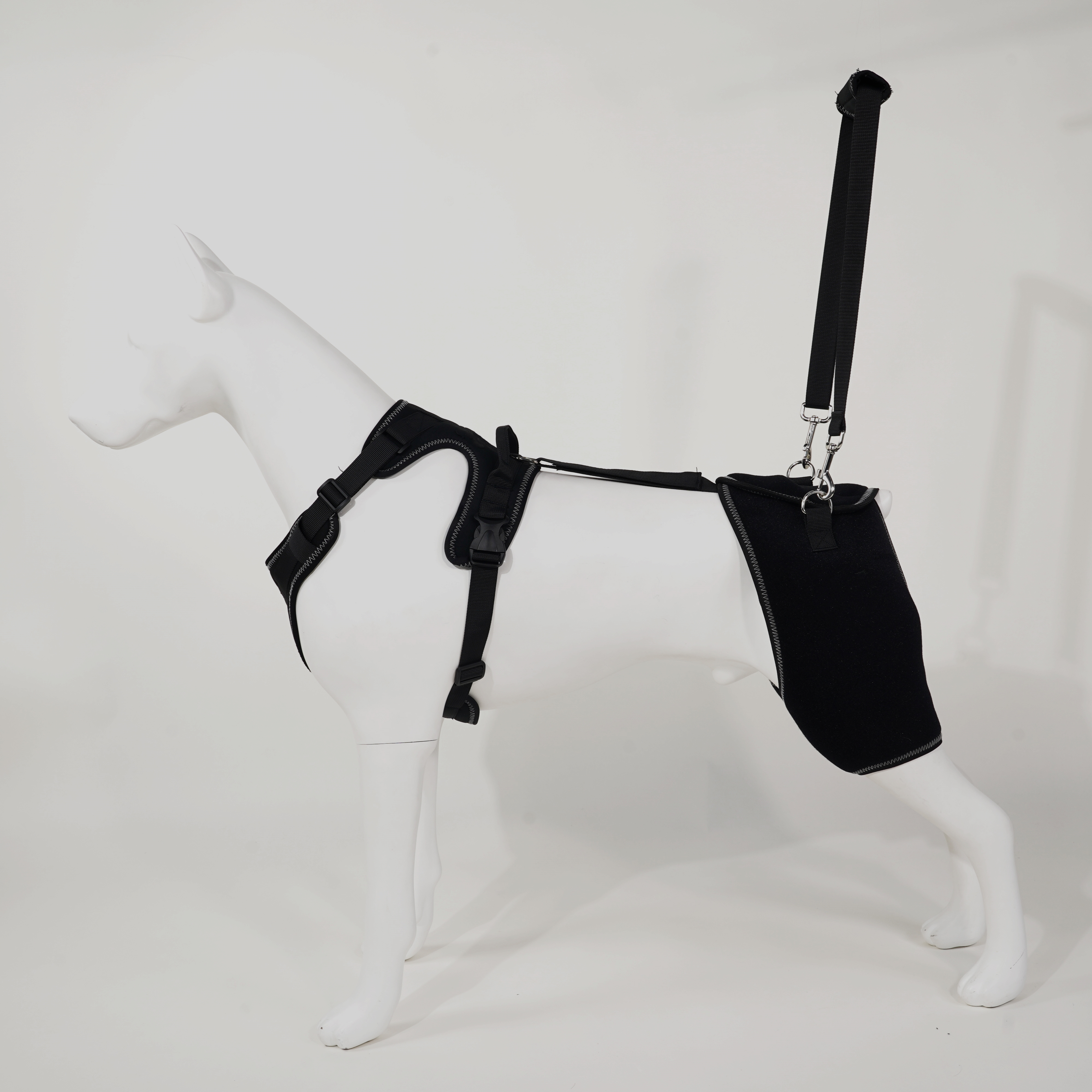 Dog Hip dysplasia Brace
