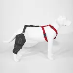 Dog Knee Brace with Hinge