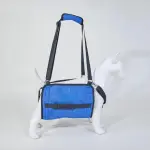 Dog lift support