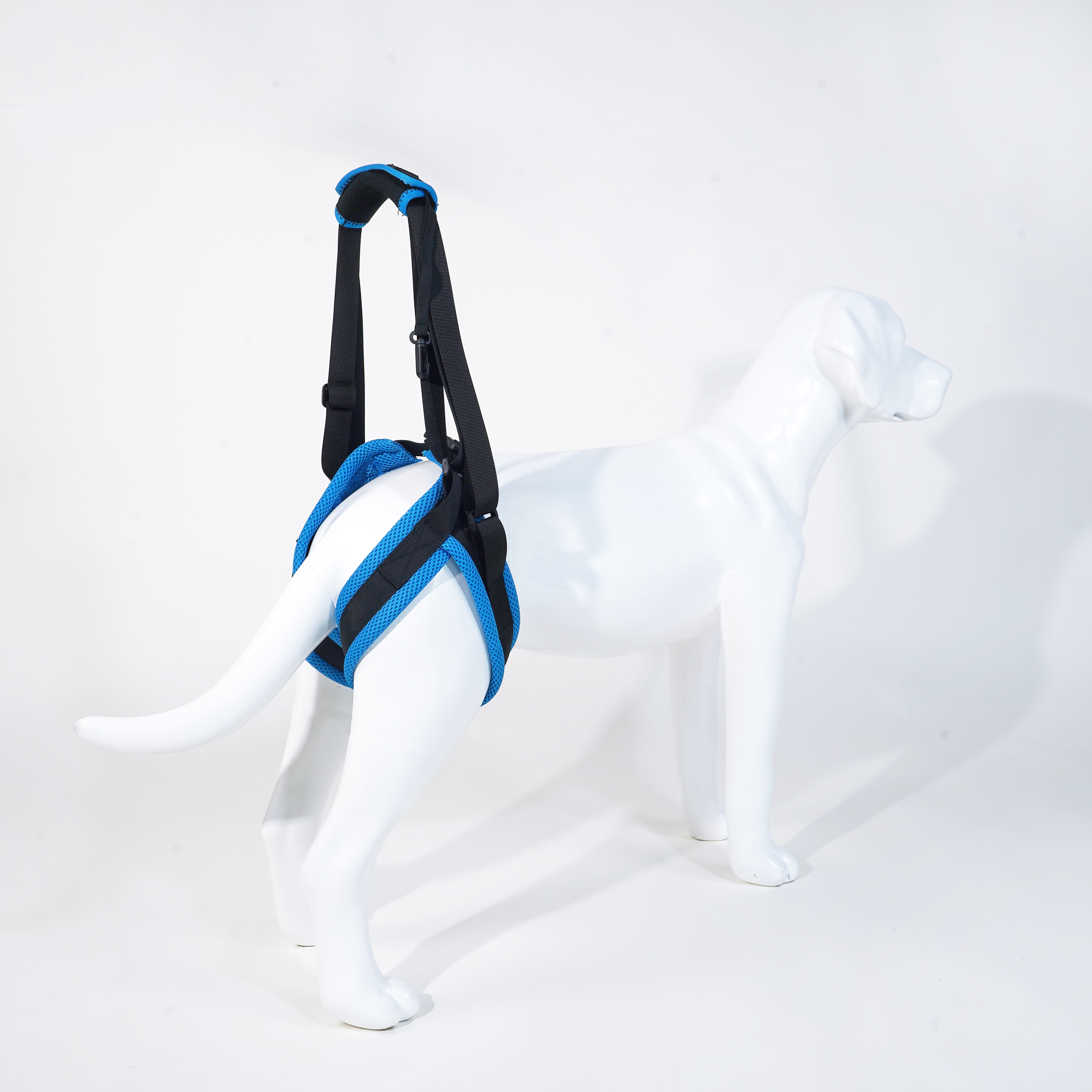 Dog lift support for hind legs