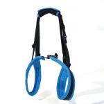 Dog lift support for hind legs