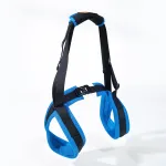 Dog lift support for hind legs