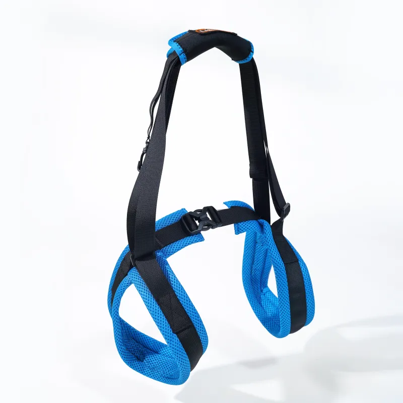 Dog lift support for hind legs