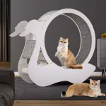 Big Cat Running Wheel: Premium Cat Treadmill for Fitness and Weight Loss