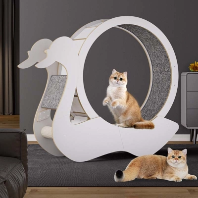 Big Cat Running Wheel: Premium Cat Treadmill for Fitness and Weight Loss 01