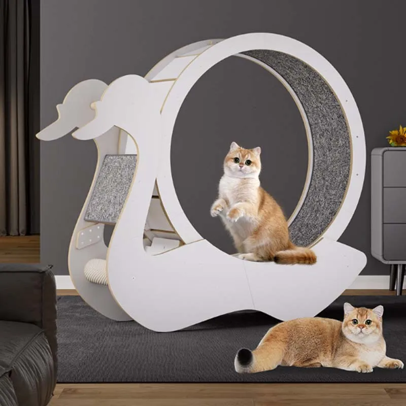 Big Cat Running Wheel: Premium Cat Treadmill for Fitness and Weight Loss