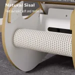 Big Cat Running Wheel: Premium Cat Treadmill for Fitness and Weight Loss