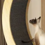 Solid Wood Quiet and Safe Pet Cat Treadmill: Your Perfect Companion for Indoor Exercises