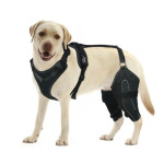 Classic Upgrade Dog Knee Brace for Dog Hind Leg ACL Injury 