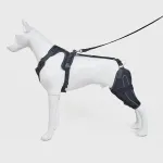 Classic Upgrade Dog Knee Brace for Dog Hind Leg ACL Injury 