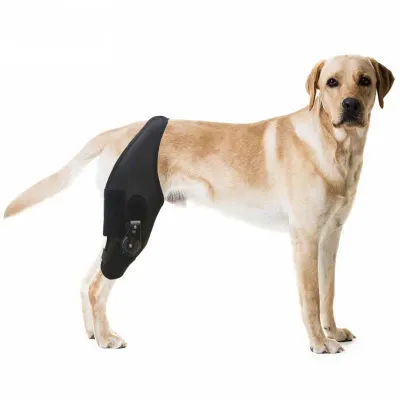Wholesale Customize Dog Adjustable Patellar Angle Knee Brace 01