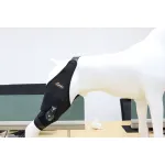 Wholesale Customize Dog Adjustable Patellar Angle Knee Brace