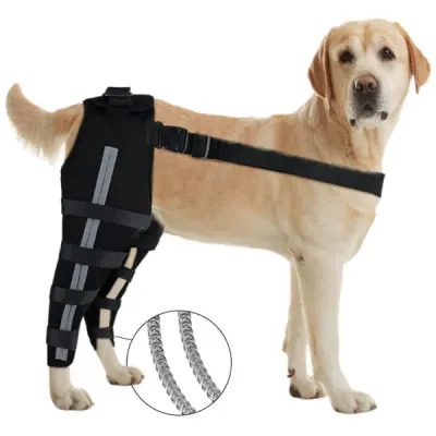 Reflective Edging Support Dog Hind Leg Arthritis Brace 01