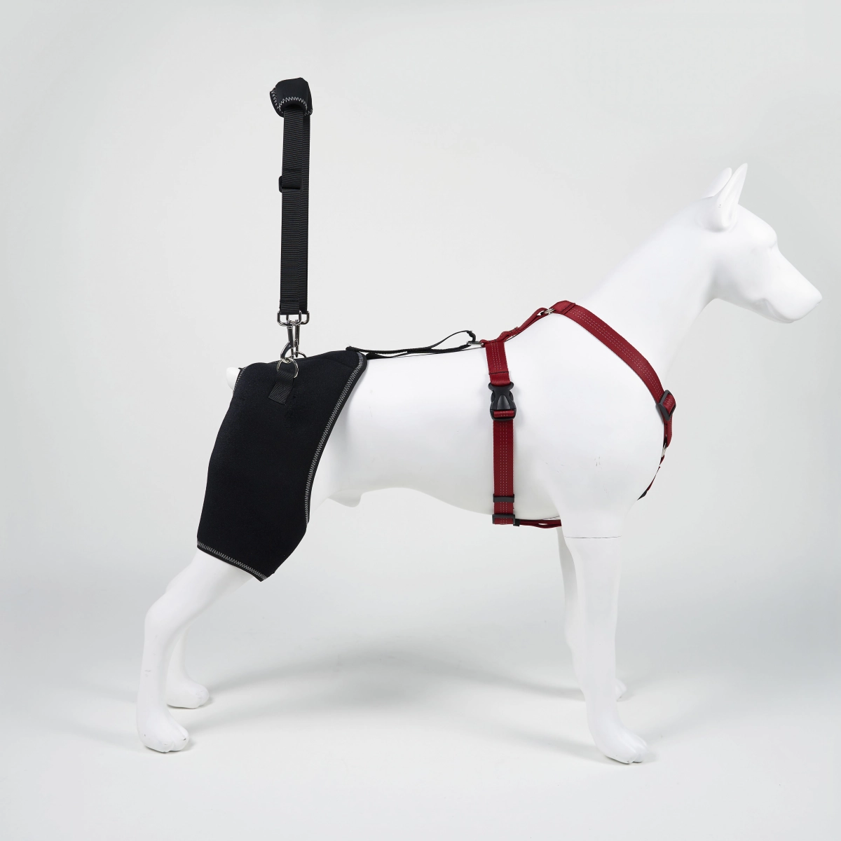 Promoting the Furtent Dog Hip Dysplasia Brace: Support and Comfort for Dogs in Need