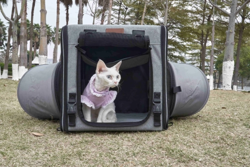 The Science Behind Cats' Love for Tunnels: Unraveling the Feline Fascination