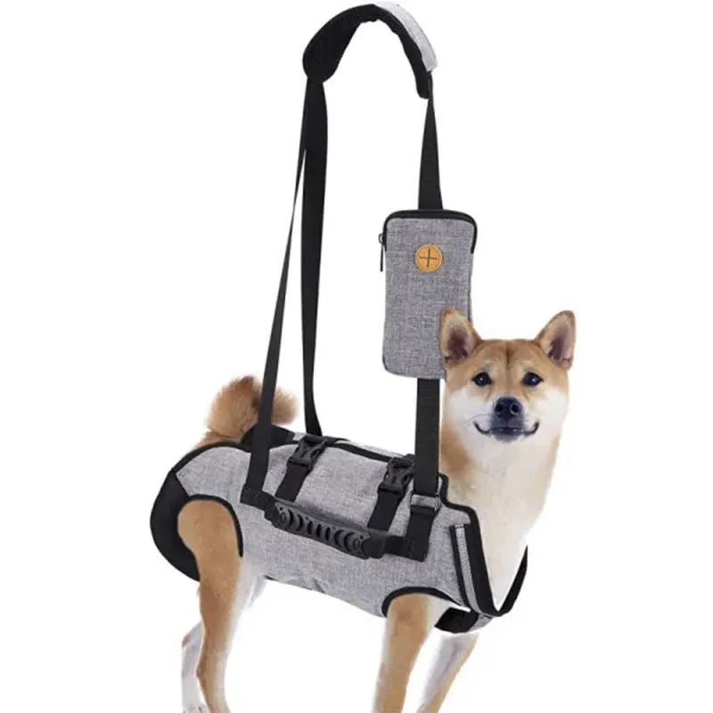 Enhancing Your Dog's Mobility: Review of Furtent's Dog Full-Body Support and Mobility Harness