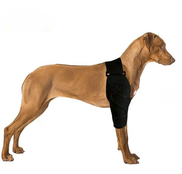 Introducing Furtent's Star Product - Dog Elbow Arthritis Brace