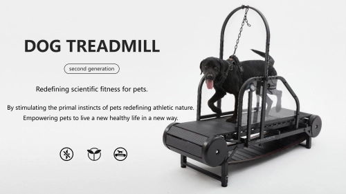 All About Dog Treadmills for Dog Health and Fitness: A Comprehensive Guide for Pet Owners