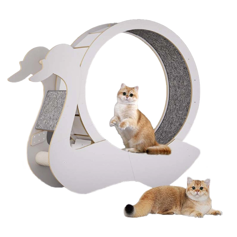 Cat Running Wheel: A New Way to Provide Healthy Exercise for Your Cat