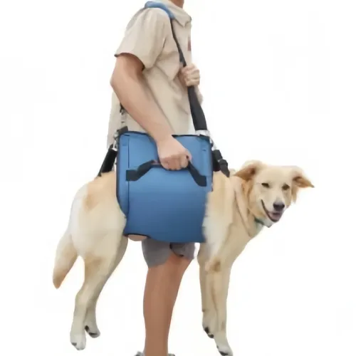 How a Dog Lift Harness Can Improve Your Pet's Mobility and Support During Recovery