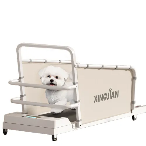 Dog Treadmill vs Human Treadmill: A Comprehensive Guide to Choosing the Best Option for Your Pet