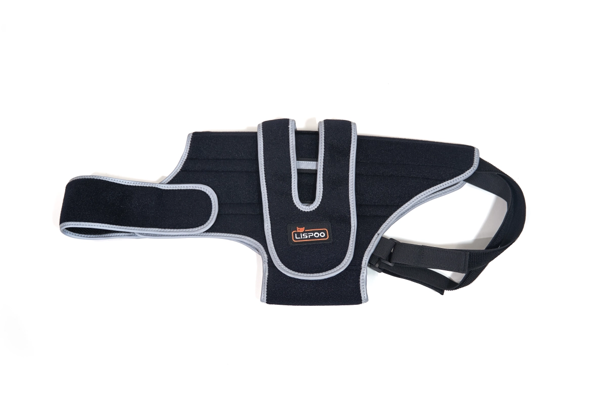 IVDD Back Brace for Dogs: Support and Comfort for Pets with Disc Disease