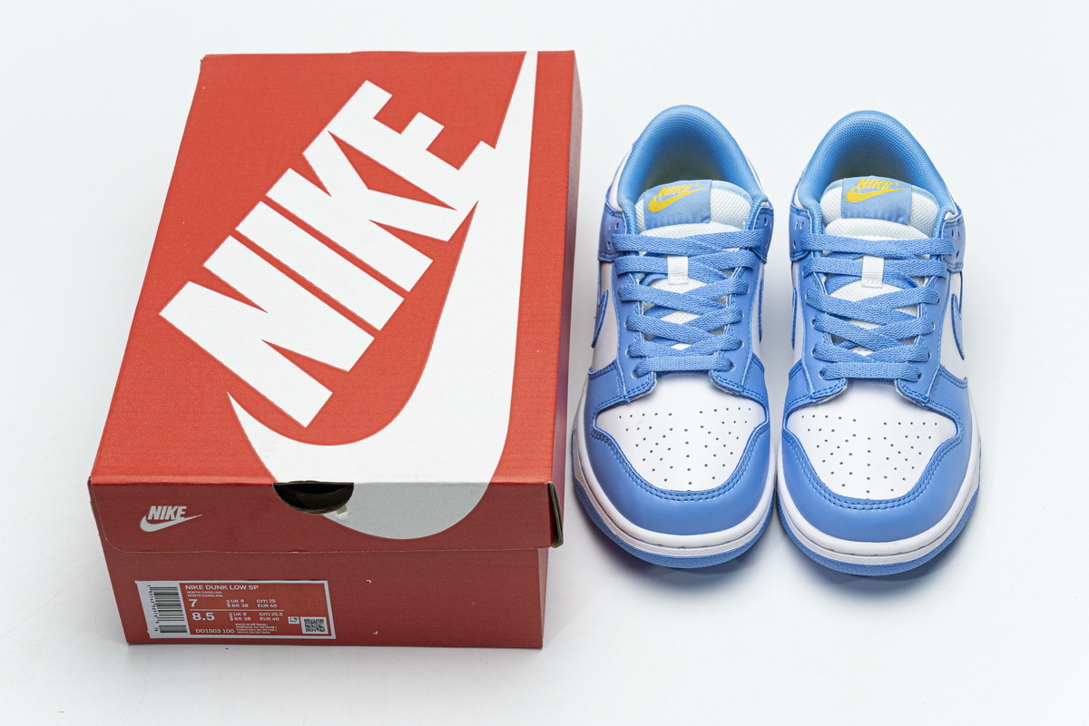 PK Dunk SB Low Coast (W), DD1503-100