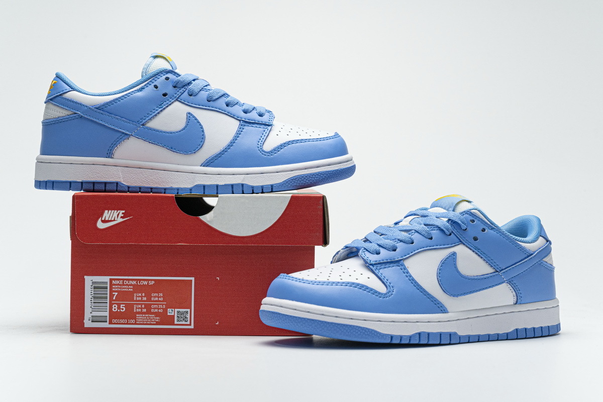 PK Dunk SB Low Coast (W), DD1503-100