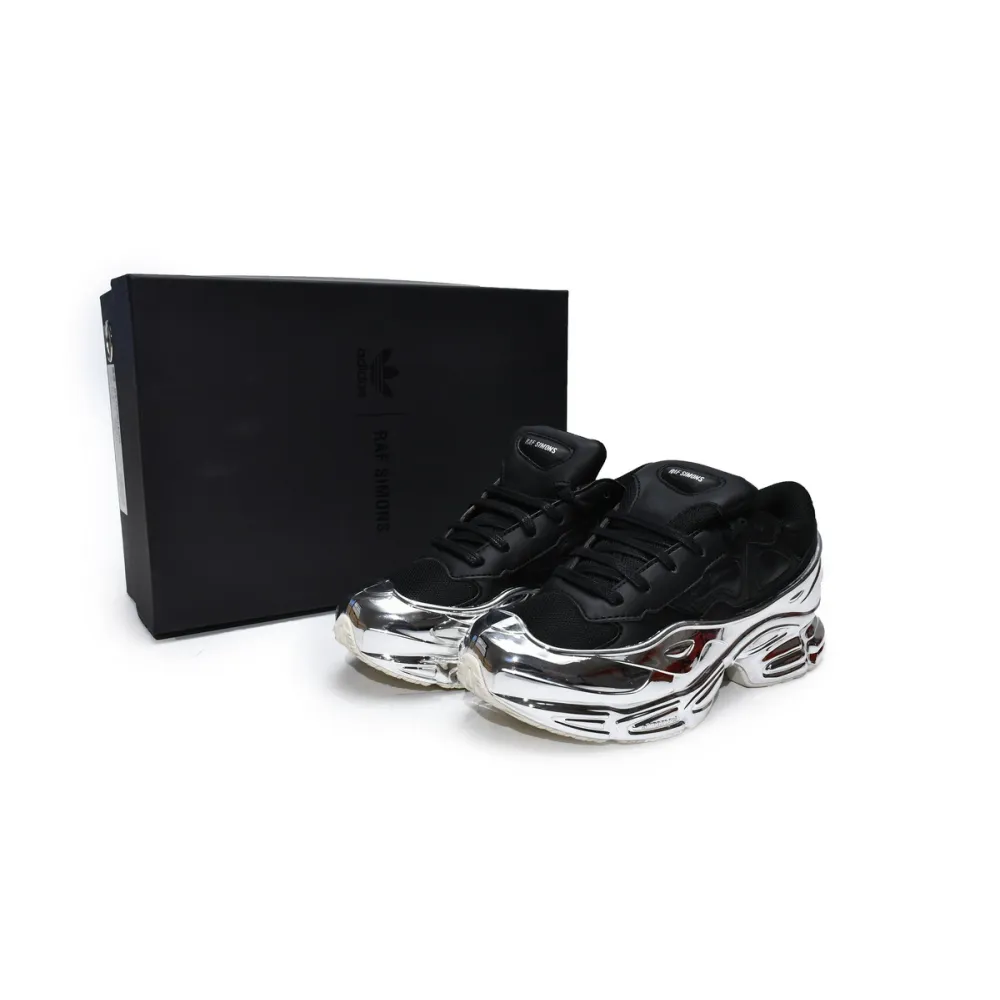 PK Ozweego Raf Simons Core Black Silver Metallic, EE7944