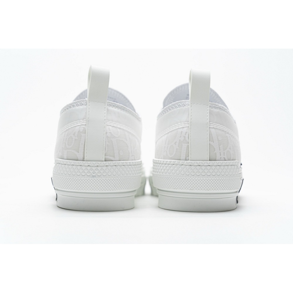 PK Dior B23 Low Top Oblique