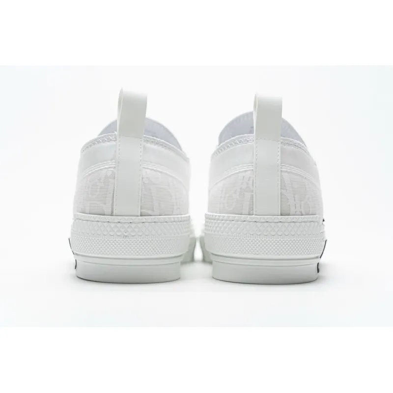 PK Dior B23 Low Top Oblique
