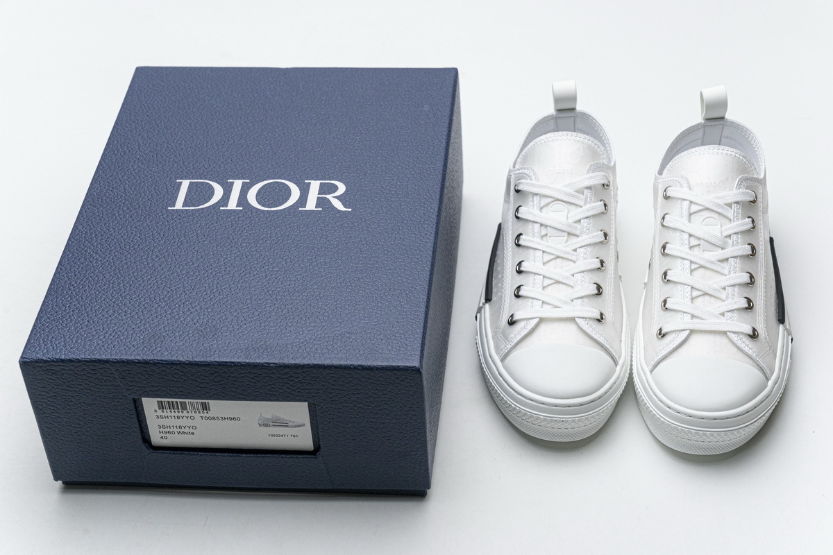 PK Dior B23 Low Top Oblique