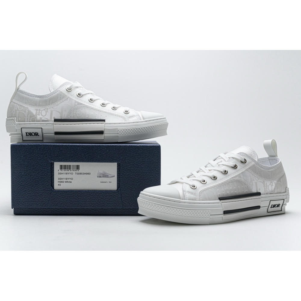 PK Dior B23 Low Top Oblique
