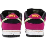 PK Dunk SB Low Pro ACG Terra Red Plum, BQ6817-501