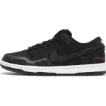 PK Dunk SB Low Wasted Youth, DD8386-001