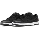 PK Dunk SB Low Wasted Youth, DD8386-001