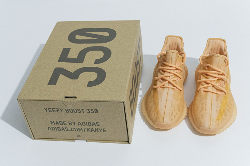 Adidas Yeezy Boost 350 V2  Moncla 