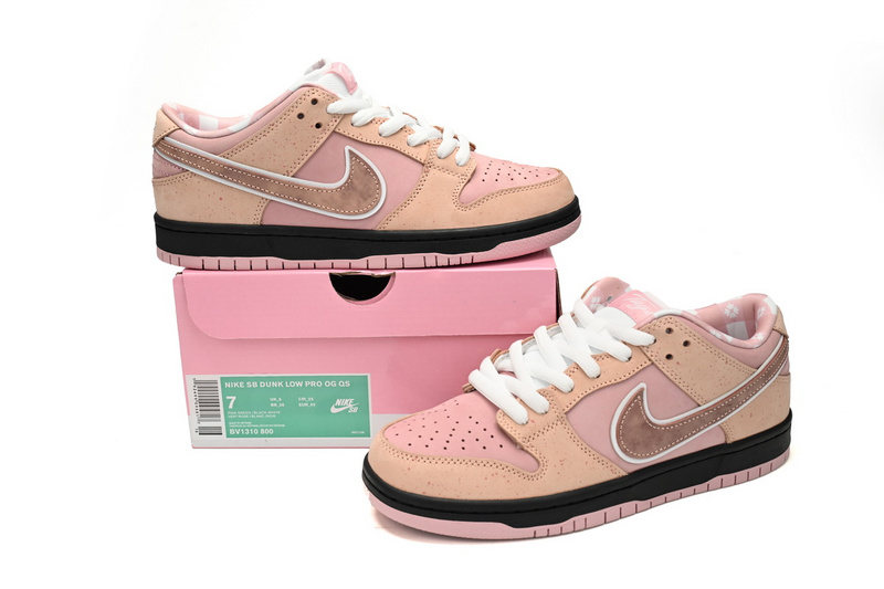 SX CONCEPTS × Nike Dunk SB Fen Lobster