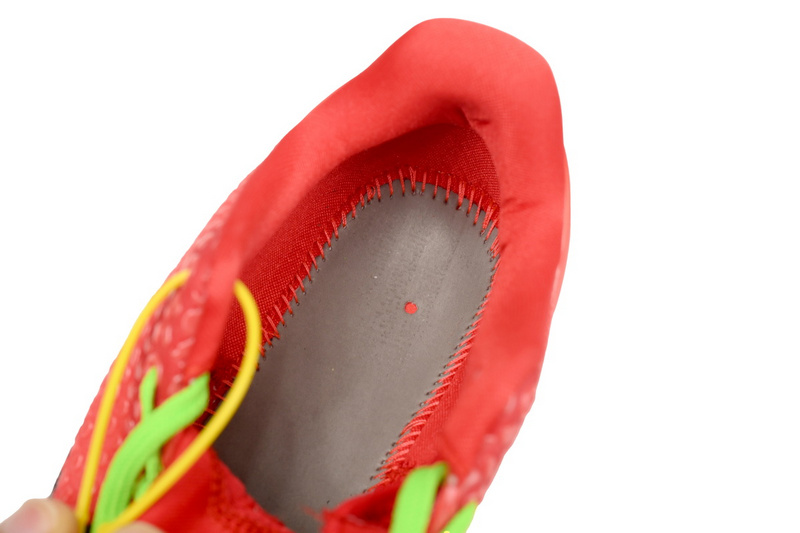 TS Nike Kobe 6 Protro "Reverse Grinch"