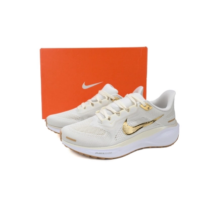 Air Zoom Pegasus 41 'Light Pumice Metallic Gold' 02