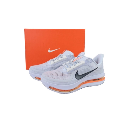 Air Zoom Pegasus Premium 'Airscape' 02