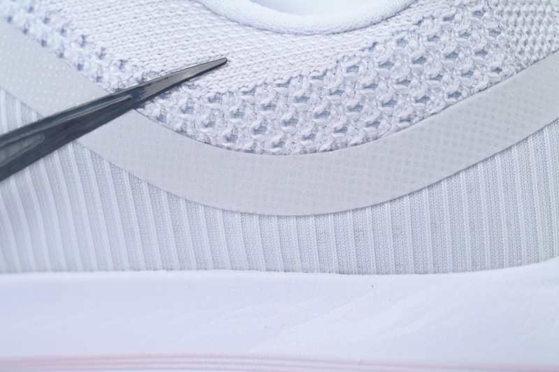 Air Zoom Pegasus Premium 'Airscape'